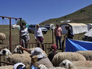 AK Parti Pülümür İlçe Başkanı Kılıçoğlu yaylacıları ziyaret etti