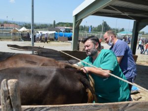Tavşanlı Kurban pazarında denetim