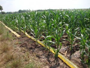 Trakya’da sulama sezonu devam ediyor