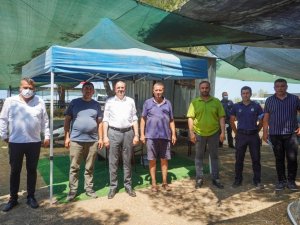 Belediye Başkanı Ergin’den kurban pazarı denetimi