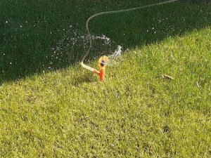 Osmancık’ta şebeke suyuyla bahçe sulamak yasaklandı