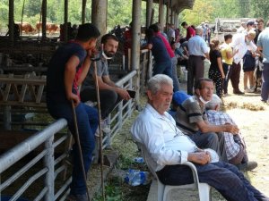 Karabük’te hayvan pazarında Arife Günü hareketliliği