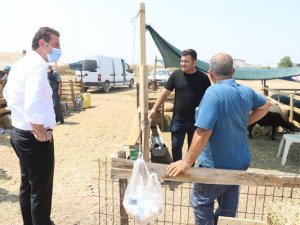 Başkan Tosun kurban pazarını gezdi