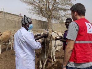 Türkiye ve 21 ülkede kurban kesimleri başladı