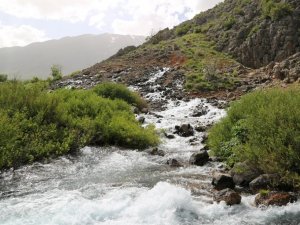 Munzur Vadisi Milli Parkı’nın insan etkileşimine kapatılması çağrısı