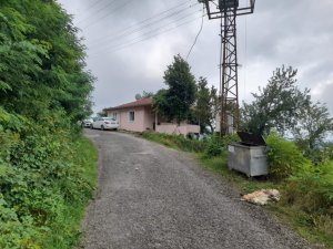 Bulaşıcı hastalık riski nedeniyle sakatatlar toprağa gömülüp üzerine kireç dökülmeli