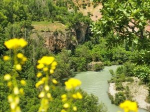 Tunceli Valiliği orman yangınlarına karşı uyardı