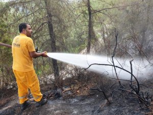 Bakan Pakdemirli: "Osmaniye’deki yangın kontrol altına alındı"