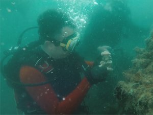 Bakan Pakdemirli hayalet ağlar için dalış yaptı