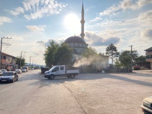 Derince’de vektörel ilaçlamalar sürüyor