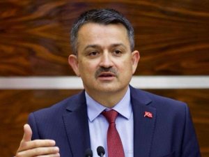 Bakan Pakdemirli: “Toplam 19 milyon 408 bin TL’lik destek ödemelerini üreticilerimizin hesaplarına aktarmaya başlıyoruz”