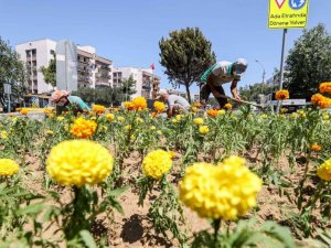 Buca, bahardan yaza çiçeklerle renklendi