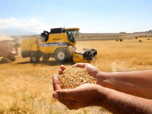 Talas’ta boş araziler tarıma kazandırılıyor
