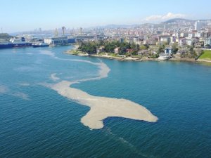 Eski Milletvekili Demirel’den Bakan Kurum’a müsilaj mesajı