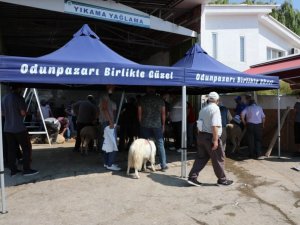 Odunpazarı Belediyesinin ücretsiz kurban kesim yeri tam not aldı