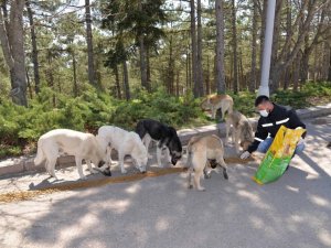 Patili dostlarımız tatil boyunca unutulmadı