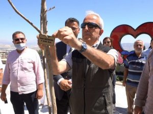 15 Temmuz şehitleri anısına Kirazlıdere’ye fidan dikildi