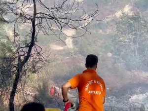 Suriye sınırında orman yangını