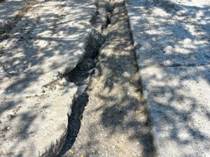 Kutoğlu, "Zonguldak halkı nitelikli hizmete layık"