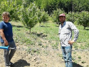 Dağın zirvesindeki bahçesini yaban hayvanlarından böyle koruyor
