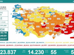 Son 24 saatte korona virüsten 55 kişi hayatını kaybetti