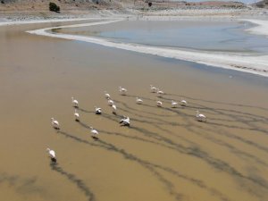 Yalıntaş göleti kuraklığa yenik düştü