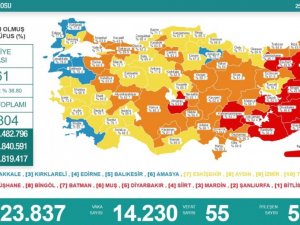 Karadeniz’de aşılamada 10 il sarı, 5 il turuncu, 2 il kırmızı, 1 il de mavi