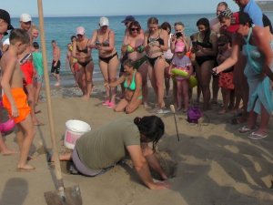 Kemer’de yeni caretta caretta yumurtlama alanı tespit edilip yuvalar koruma altına alındı