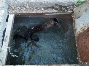 Günpınar Mahallesinde su sorunu