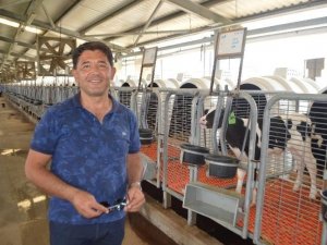 Tavşanlı’da Türkiye’ye örnek olacak modern süt sığırcılığı tesisi