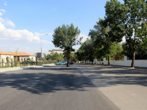 Kesmeye kıyamadıkları ağaç yol ortasında kaldı