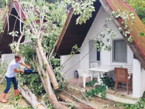 Sinop’ta hortum Özel İdare’yi vurdu