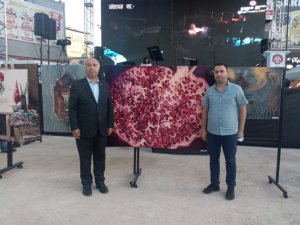 ’Birlik Beraberlik’ adlı resmi ödüle layık görüldü