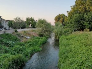 Bursa’da balık ölümleri