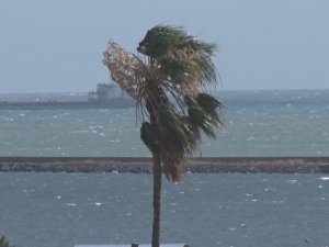 Samsun’da kuvvetli rüzgar