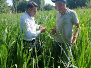 Kırklareli’nde üreticiler yaprak kurduna karşı bilgilendirildi