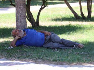 Sıcaktan fenalaşıp gölgede uyudu, vatandaşlar öldü sandı
