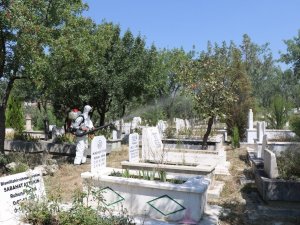 Safranbolu’da fıstık ağaçları ilaçlanıyor