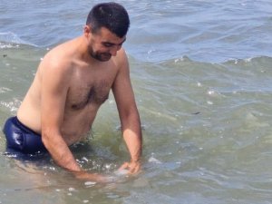 Plajlardan alınan örnekler temiz çıktı