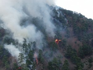 Vali Günaydın: “Yanan yerlerin büyük kısmı örtü yangını, ormanlarımızda büyük kaybımız yok”
