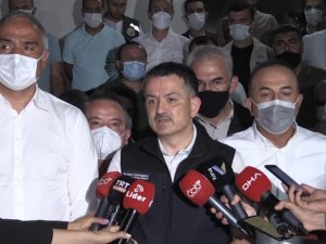Bakan Pakdemirli: “Yangın maalesef kontrol altına alınmış değil”