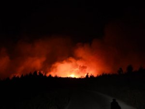 Adana Aladağ’da orman yangını