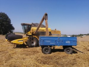 Bilecik’te buğday hasadı başladı