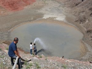 Kuraklık hat safhaya ulaştı, 10 bin balık için köy halkı seferber oldu