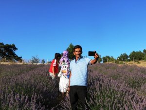 Köydeki lavanta tarlası fotoğraf tutkunlarının ilgi odağı