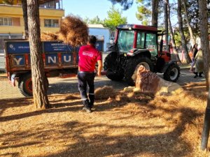 Kahramanmaraş’ta fırtına mesaisi