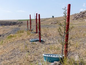 Büyükşehir ile ‘daha az su tüketimi daha fazla yeşil alan’