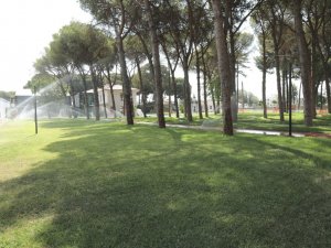 Aydın Tekstil Alanı yağmur suyu ile hayat buluyor