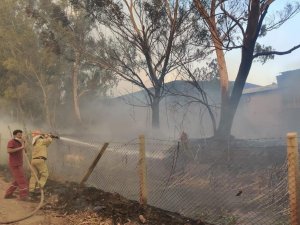 Eskişehir ve Afyonkarahisar’dan yangına destek
