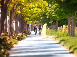 Konya Büyükşehir’in bisiklet uygulamaları dünyaya anlatılıyor
